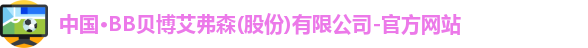 BB贝博艾弗森官网